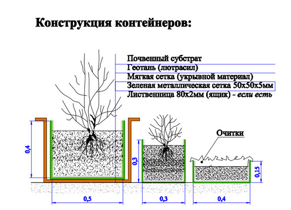 На московских крышах предлагают разбить сады. Изображение № 2.