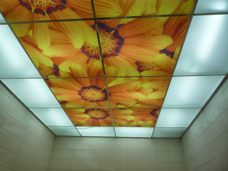 Потолок из акриловых панелей со встроенной подсветкой