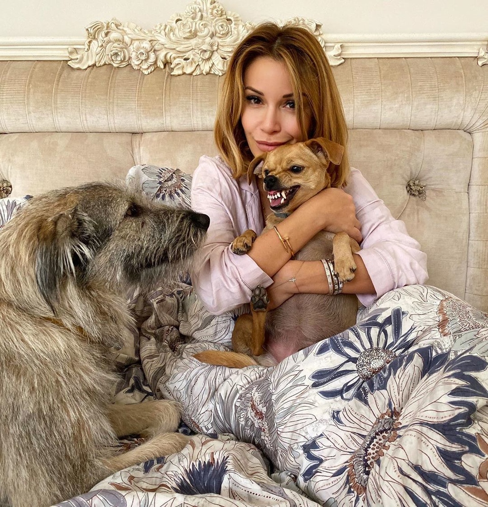 Ольга Орлова обожает собак, особенно, тех, от которых отказались прежние хозяева ​Фото: «Инстаграм»  
