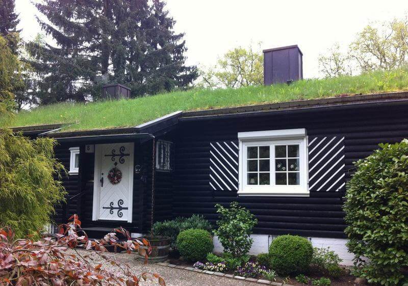 6 мифов о зеленых крышах
