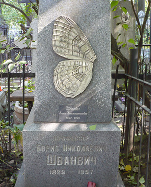 Надгробие Б. Н. Шванвича