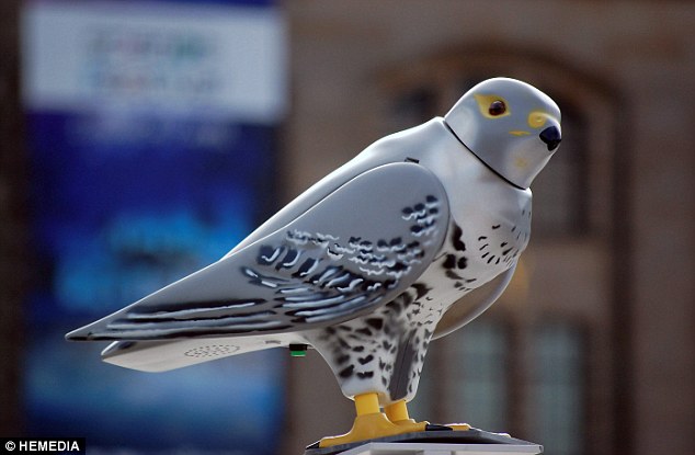 Plastic predators: The robots are programmed to rotate their heads, flap their wings and unleash four different calls to strike fear into their prey