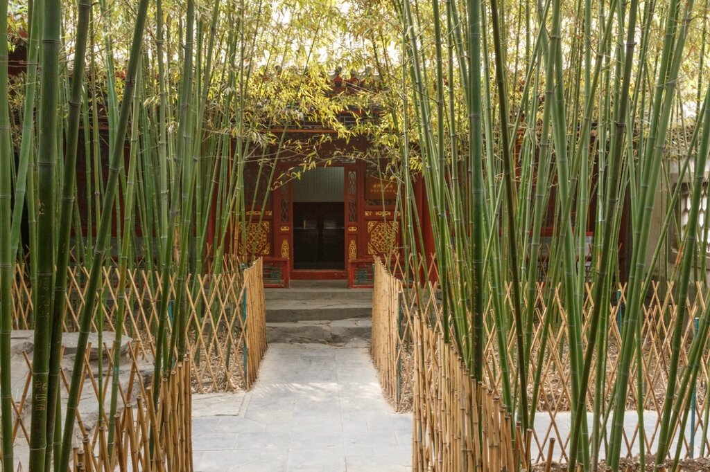 Бамбуки и павильон