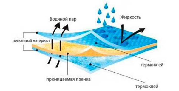 Диффузная мембрана пропускает влагу в одну сторону