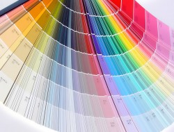 многообразие возможных цветов для краски