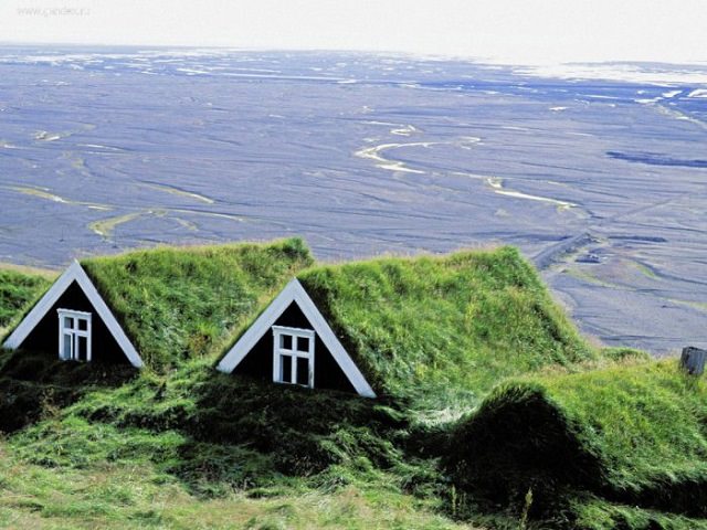 Три дома с озелененными крышами