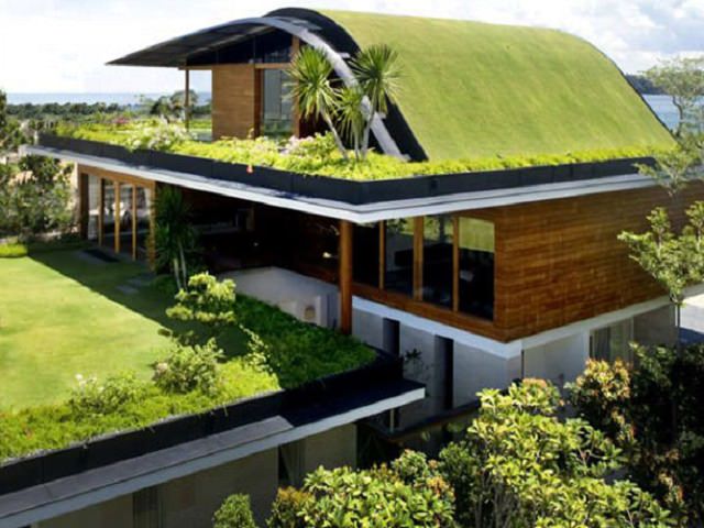 Дом с озелененными крышами