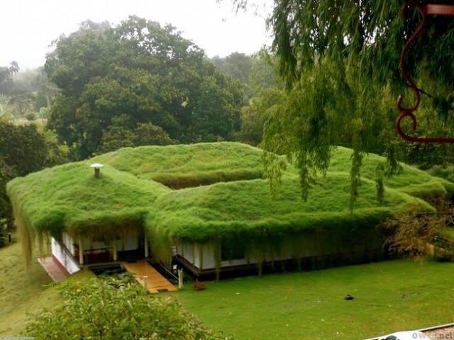 Озеленение крыши загородного дома