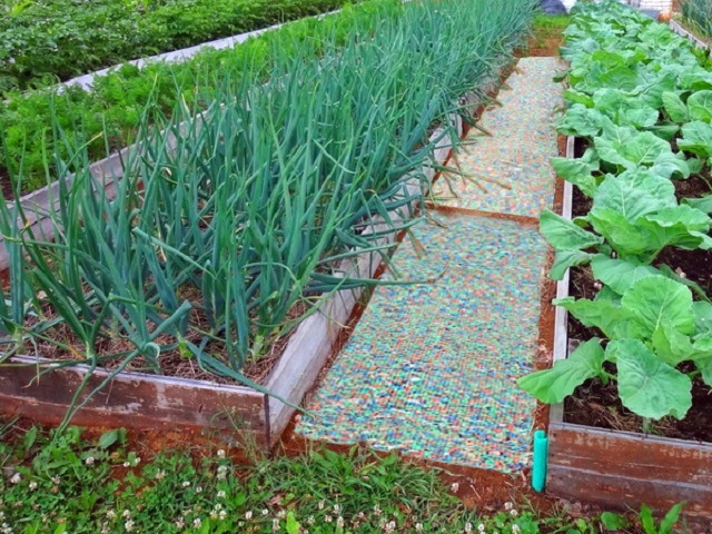 Дорожки между грядками на даче