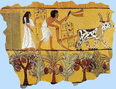 как проходил день земледельца в древнем египте